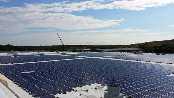 ECOFOOT 2+ (Portrait) - Image 7