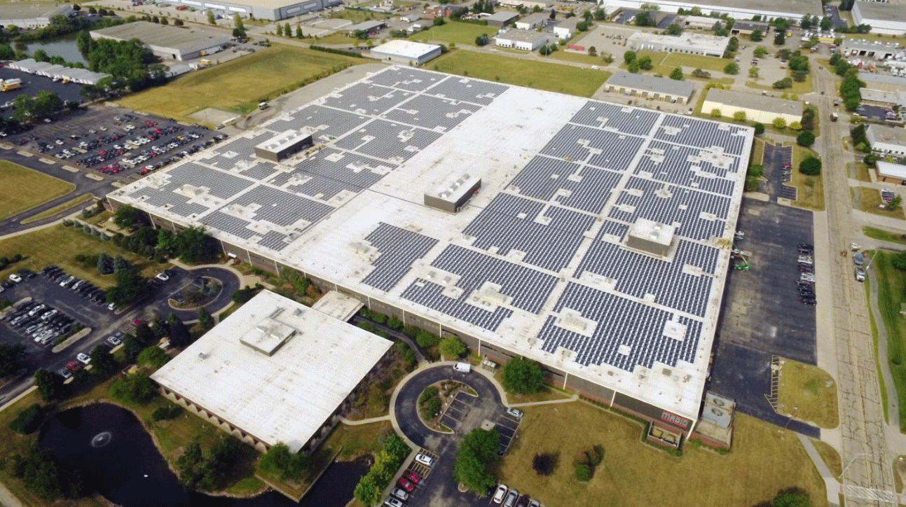 ECOFOOT 2+ (Portrait) - Image 10